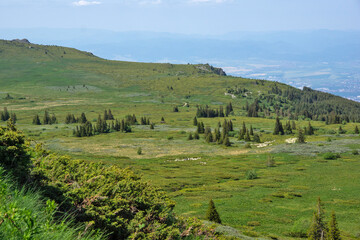 Obraz premium Landscape of Vitosha Mountain, Bulgaria