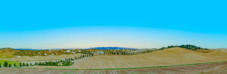 Obraz premium typical scenic tuscan landscape with olive tree alleys and farm house