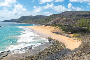 Fernando de Noronha, Brazil. View of beautiful empty sandy beach with plants in the foreground