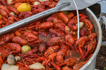 Louisiana cajun crawfish boil pot with paddle 