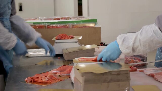 Workers placing pieces of fish meat into vacuum packaging on production line