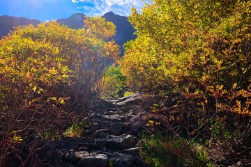 紅葉の北アルプスの穂高連峰の涸沢