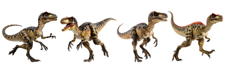 Four small theropod dinosaurs in dynamic poses Each has a different expression and slight variations in their striped, brown and tan skin coloration. Some have a small red crest