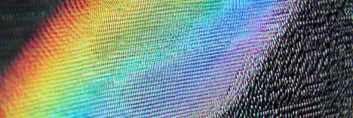 Mesmerizing holographic abstract background shows vibrant rainbow light spectrum. colorful iridescent foil texture has beautiful shiny futuristic pattern