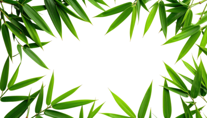 A vibrant, lush frame of sharp, green leaves, arranged to create an empty, dark space within. The leaves have a pointed shape and surround the void