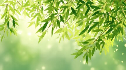 Naklejka premium Lush Green Bamboo Leaves with Soft Background Light and Bokeh Effect