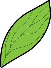 Simple green leaf illustration with black outline, ideal for nature themes, eco-friendly branding, and spring-themed graphic design projects. isolated on transparent background