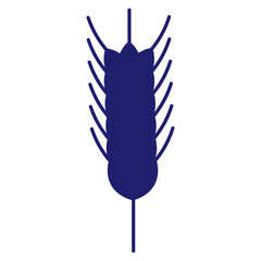 Cereals doodle illustration  icon - pearl millet, agriculture, wheat, barley, rice, maize, timothy grass, buckwheat, proso, sorghum. Thin line art about grain plants. Editable Stroke Wheat ear icon. l