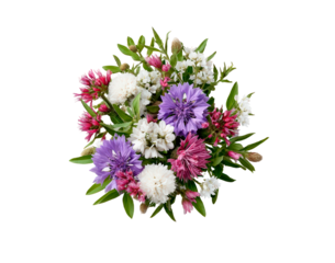 Vibrant floral bouquet with cornflowers and clover on transparent background