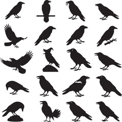 Obraz premium Raven Silhouette Collection: A versatile collection of raven silhouettes, depicting diverse poses, perfect for design projects. 