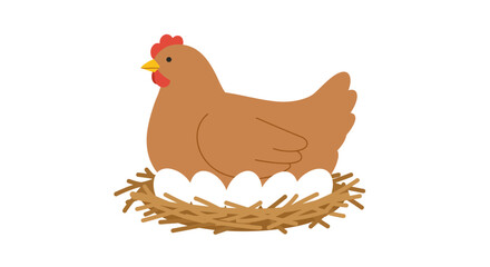 Brown hen sitting on a nest with white eggs isolated on white background.