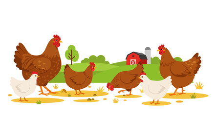 A group of brown and white domestic chickens.