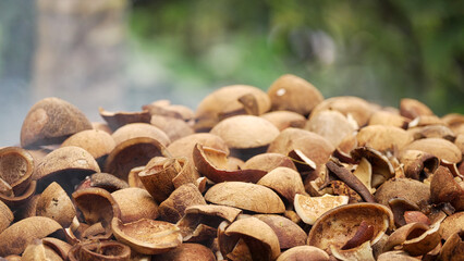 close-up of white copra smoke drying on farm