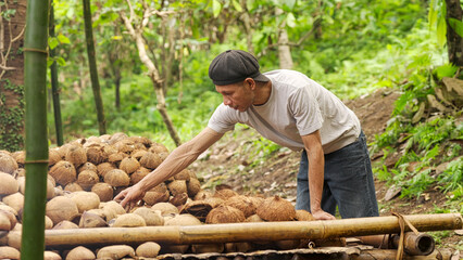 Indonesian copra farmer drying coconut meat or kernel on a bamboo rack in farm or plantation, indonesia, southeast asia © Spice Footage