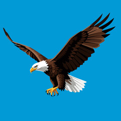 Majestic bald eagle soaring through the sky with wings spread wide displaying its powerful flight vector on white background