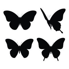 Four silhouetted butterflies displayed in diverse poses representing nature insect life and flight dynamics in dynamic arrangement silhouette