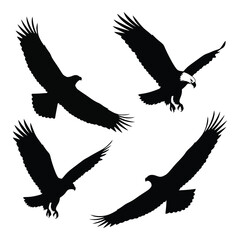 Majestic eagle silhouettes four dynamic poses symbolizing freedom strength and flight in a stunning collection silhouette