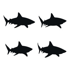 Four black silhouette shark shapes aquatic marine life ocean predator animals underwater sea creature danger apex predator marine ecosystem silhouette