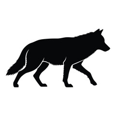 Majestic black wolf silhouette walking confidently wildlife animal natural creature wild canine forest predator graceful silhouette