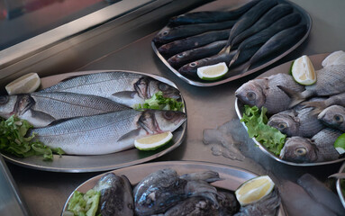 Fresh seafood in Portuguese fish market. Sea bass, squid, hake and sea bream on metal trays with ice.