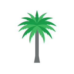 A simple illustration of a green palm tree on a white background