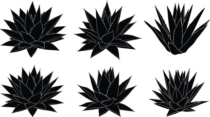 Agave plant silhouettes, desert tropical foliage collection, exotic spiky leaves design, black vector illustration, isolated botanical artwork, succulent landscape elements