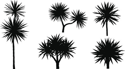 Palm-like tree silhouettes, yucca dracaena inspired plants, tropical exotic foliage design, black vector illustration, isolated botanical artwork, landscape elements