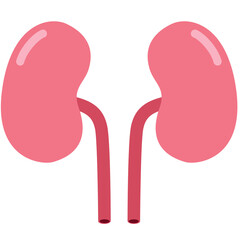 Kidneys