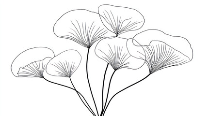 Delicate, translucent fan-shaped leaves on thin stems, artfully arranged