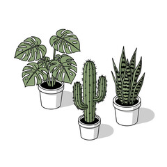 Three potted houseplants: a Monstera deliciosa, a saguaro cactus, and a snake plant.