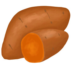 Sweet potatoes illustration