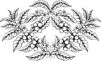 Fototapeta premium Decorative Frame of Coffee Branches for Packaging or Label Design