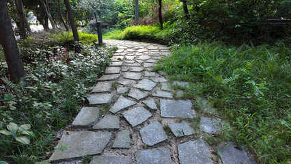 Aug 10 2025 Patterned Stone Pathway Embedded in Grass Captured