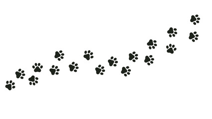 Cat paw print on path on transparent background, animal footprint, pet theme
