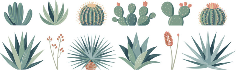 Assortment of stylized desert succulents and cacti plants cactus botanical © SUMAIA