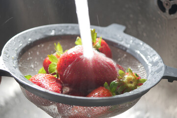 Washing fresh strawberries in a kitchen sink