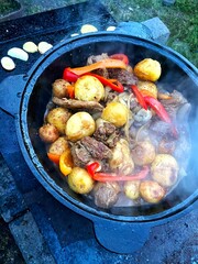  cooking outdoors in a cauldron with vegetables and meat