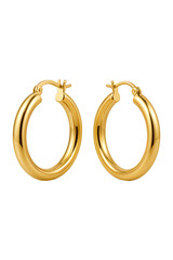 Elegant Gold Hoops High quality Realistic image.