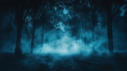 Fototapeta premium Mysterious foggy forest scene enigmatic nature landscape atmospheric nighttime enchanted environment deep woods viewpoint
