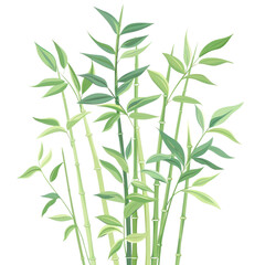 Naklejka premium Transparent bamboo growth nature plant photography lush environment close-up view tranquil concept