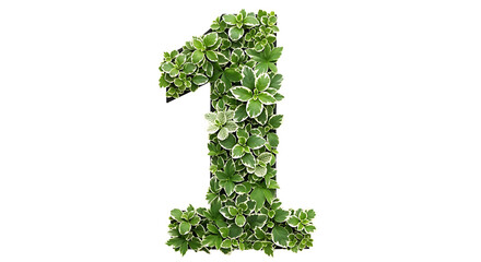 Number one shaped with green variegated leaves creating natural foliage design