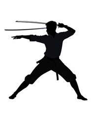Silhouette of a man in a fighting stance with swords