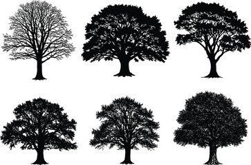 Set of Diverse Tree Silhouettes in Black Vector Style for Nature, Landscape, Seasonal, Botanical, and Environmental Design Concepts