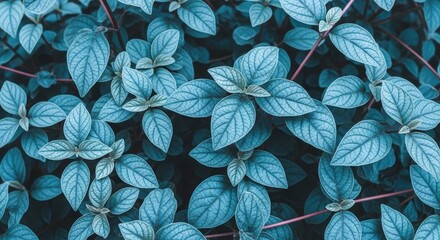 Close up of vibrant blue leaves with intricate vein patterns and red stems nature scene