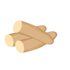 Chinesse yam vector