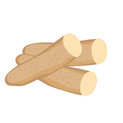 Chinesse yam vector