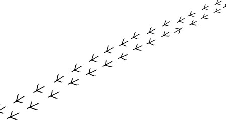 Bird footprints trail vector illustration, animal track pattern, wildlife footprint path on ground, nature trace symbol, birdwalk silhouette, outdoor wildlife concept design