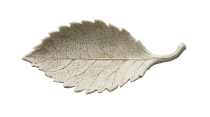 Leaf of Serenity: A delicately textured leaf rests peacefully, its intricate veins and gentle curves whisper of the quiet beauty found in nature. 