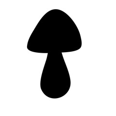 Wild Brown Cap Mushrooms