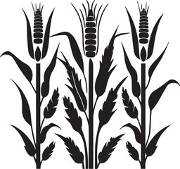 Black Silhouette growing corn with leaves vegetable harvest black and white vector shape 